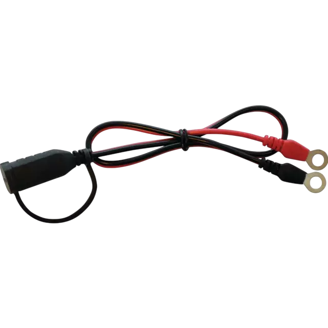 CABLE A OEILLETS M6 POUR CHARGEUR CTEK